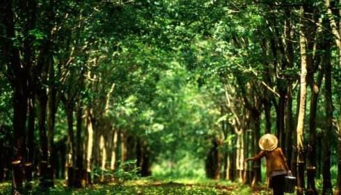 44535a.jpg 44535a.jpg